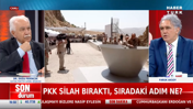 Doğu Perinçek silah bırakma sürecini değerlendirdi: Ne ABD ne İsrail süreci engelleyebilir