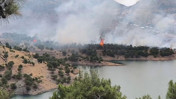 Adıyaman'da yangın alarmı: Ekipler ve köylüler alevlere karşı seferber oldu