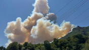 Sakarya'da orman yangını paniği! Dumanlar gökyüzünü kapladı