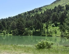 Eşi benzeri olmayan doğal güzellik! Gümüşhane’nin Torul ilçesinde bulunuyor