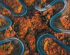 Bu görüntüler Bursa'dan! İnegöl ormanları sonbaharda ayrı güzel