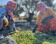 Tarımda sert düşüş: yüzde 12,7 küçüldü! Çiftçiyi ve suyumuzu üretim ekonomisi için koruyalım