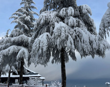 Ordu’da eğitime kar engeli