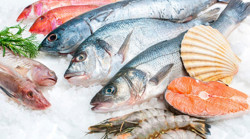 Prof. Dr. Beyza Ersoy Altun, zehirlenmelere karşı önlemleri anlattı: Su ürünleri özel dikkat gerektiriyor