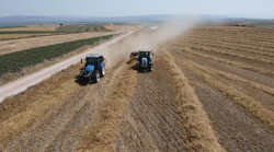 Hububat ve un üretiminde maliyet artışı sürüyor