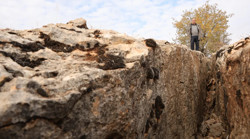 Diyarbakır’ın Kocaköy ilçesinde bulundu! Yüz milyonlarca yıl öncesine ait