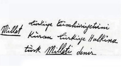 Türk milleti, Türkler ve Kürtler