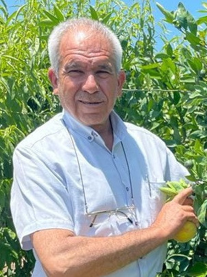 Üretici pamuktan korkar oldu! Bakanlık ve sanayiciye fiyat garantisi çağrısı - Resim : 1