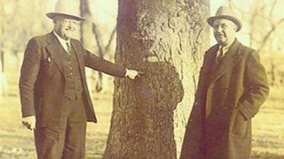 Ateşlendikten 20 yıl sonra birini öldüren mermi!