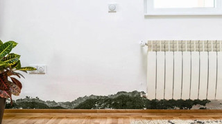 Evdeki rutubetten kurtulmanın 12 yolu