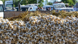Kastamonu'da üretiliyor! 90 liradan satılıyor