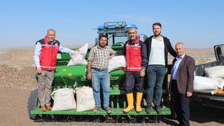 28 çeşit yerli buğday ekildi