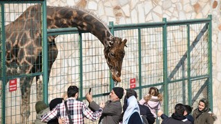 Dünyanın dördüncüsü Gaziantep'te! Avrupa'da ise üçüncü sırada
