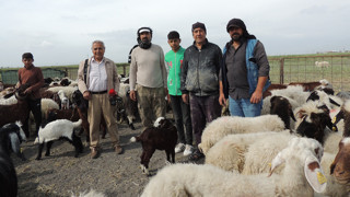 ‘Meralara konut yapıldı hayvanlar hazır yiyor’