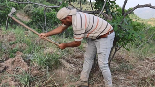 Kravatı bıraktı, çapayı kaptı! Üniversite mezunu ama bu işte daha çok kazanıyor