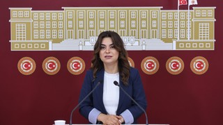 DEM Partili Koçyiğit: Bütün partiler İmralı'ya gitmeli
