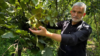 ‘Aklımızla oynamayın’