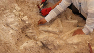 Kayseri'de çoban keşfetti! 7.7 milyon yıllık