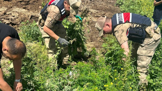 Kars'ta ele geçirildi: Yaklaşık 43 bin adet