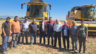 Söke’de ayçiçeği üreticinin yüzünü güldürdü