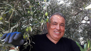 Zeytinyağı fiyatları yine yükselişe geçti