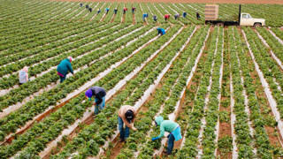 Ulusal Kalkınmada Kooperatifleşmenin Önemi