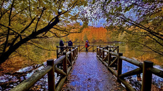 Dört mevsimi de güzel! Bolu'nun incisi Yedigöller