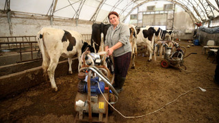 Süt üreticisi maliyetlerden dertli