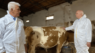 'Şap hastalığından etkilenen işletmelere destek verilmeli'