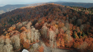 Kuzuyayla Tabiat Parkı'nda sonbahar güzelliği! Kocaeli’nin gözdesi