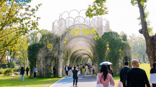 Çin’in Müzik Şehri: Wuxi