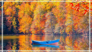 Meserret Taşkın’dan mektup var! Doğanın yası