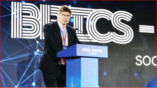 AfD'lilerin Soçi’ye gitmesi Berlin’de siyasi gerilim yarattı