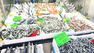 Düzce’de balık fiyatları düştü!