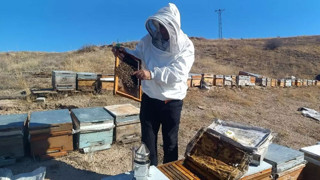 Uzman isimden sahte bal uyarısı! Şifa değil zehir