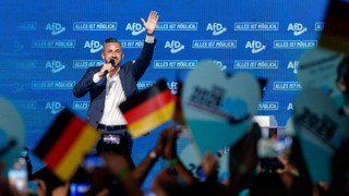 5 soruda AfD gerçeği