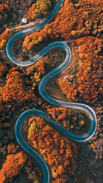 Bu görüntüler Bursa'dan! İnegöl ormanları sonbaharda ayrı güzel - Resim: 3