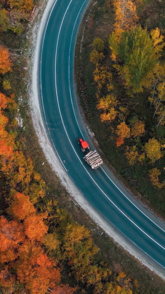 Bu görüntüler Bursa'dan! İnegöl ormanları sonbaharda ayrı güzel - Resim: 5