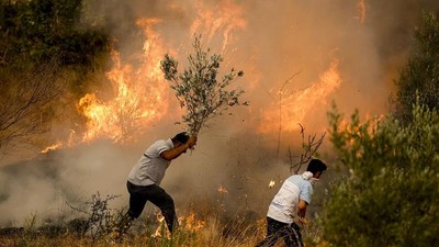 İklim değişikliği orman yangınlarıyla mücadeleyi zorlaştırıyor