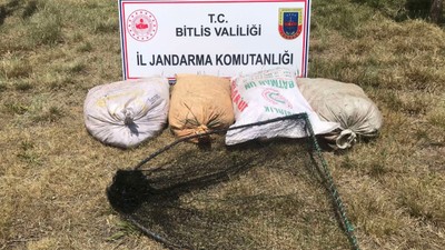 Bitlis'te kaçak avlanan 2 ton 350 kilogram inci kefaline el konuldu