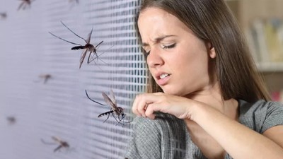 Evinizdeki sineklerden tamamen kurtulmanızı sağlayacak doğal sinek kovucu yöntemler