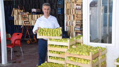 Aydın İnciri, Avrupa’nın gözde meyvesi oldu