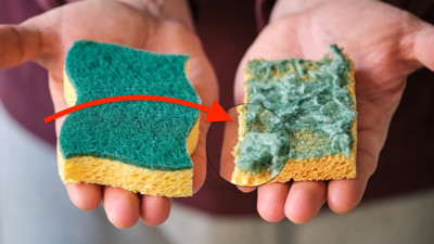 Tuvalet mi daha pis bulaşık süngeri mi? İşte şaşırtan cevap