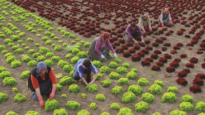 ÇKS başvuruları bugün sona eriyor