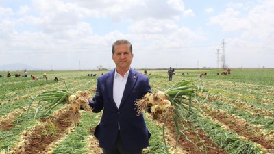 Erkenci hasat başladı! Soğan yerinde 18 lira