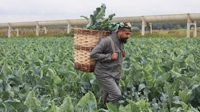 5 kaleme destek verin enflasyonu düşürelim