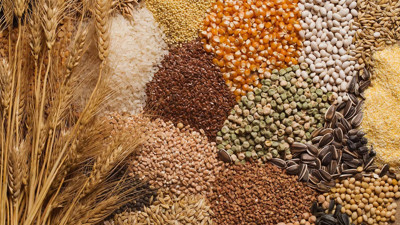 Binlerce çiftçinin beklediği haber geldi: 2024 hububat alım fiyatları belli oldu