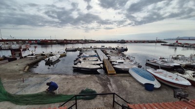 Karadeniz'den umutlu haber geldi