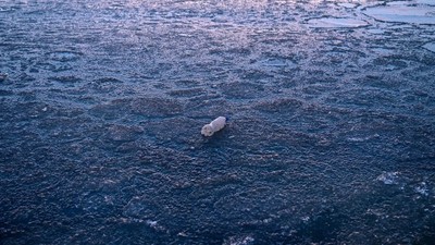 Van Gölü'nün yüzeyi böyle görüntülendi
