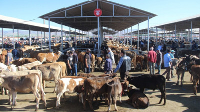 Sivas'ta karantina uygulaması! Canlı hayvan pazarı kapatıldı